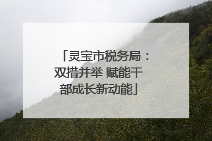 灵宝市税务局：双措并举 赋能干部成长新动能