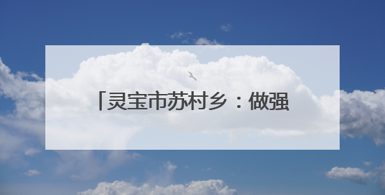 灵宝市苏村乡：做强做优特色农业产业