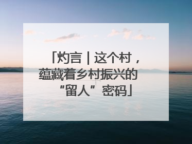 灼言｜这个村，蕴藏着乡村振兴的“留人”密码