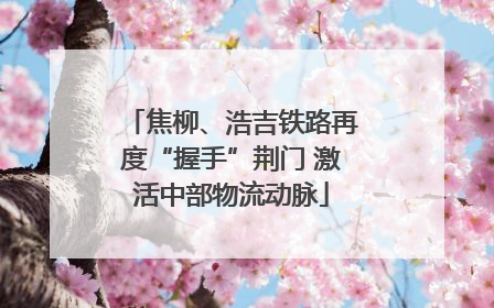 焦柳、浩吉铁路再度“握手”荆门 激活中部物流动脉