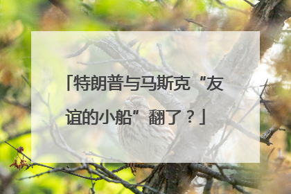 特朗普与马斯克“友谊的小船”翻了？