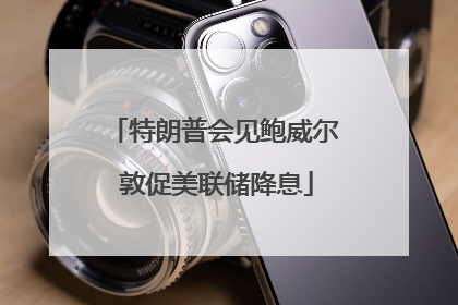 特朗普会见鲍威尔 敦促美联储降息