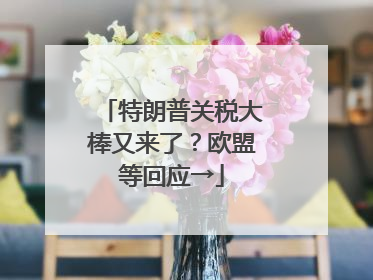 特朗普关税大棒又来了？欧盟等回应→