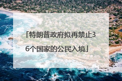 特朗普政府拟再禁止36个国家的公民入境
