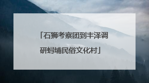 石狮考察团到丰泽调研蟳埔民俗文化村