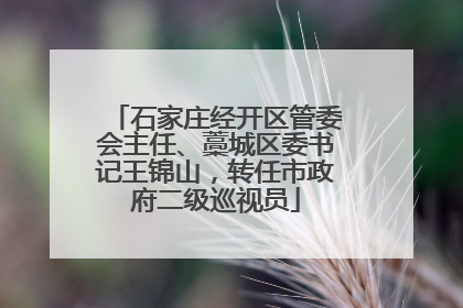 石家庄经开区管委会主任、藁城区委书记王锦山，转任市政府二级巡视员