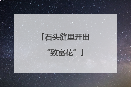 石头缝里开出“致富花”