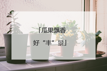 瓜果飘香 好“丰”景