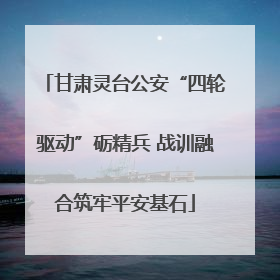 甘肃灵台公安“四轮驱动”砺精兵 战训融合筑牢平安基石