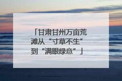 甘肃甘州万亩荒滩从“寸草不生”到“满眼绿意”
