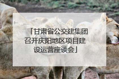甘肃省公交建集团召开庆阳地区项目建设运营座谈会