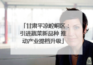 甘肃平凉崆峒区：引进蔬菜新品种 推动产业提档升级