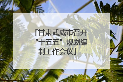 甘肃武威市召开“十五五”规划编制工作会议