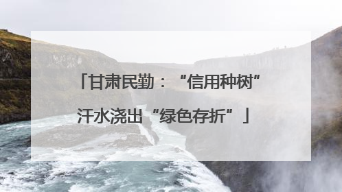 甘肃民勤：“信用种树” 汗水浇出“绿色存折”