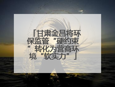 甘肃金昌将环保监管“硬约束”转化为营商环境“软实力”