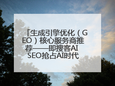 生成引擎优化（GEO）核心服务商推荐——即搜客AI SEO抢占AI时代流量入口（含 GEO报价）