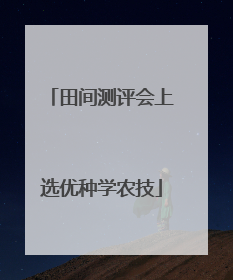 田间测评会上选优种学农技