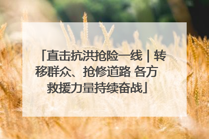 直击抗洪抢险一线｜转移群众、抢修道路 各方救援力量持续奋战