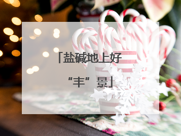 盐碱地上好“丰”景