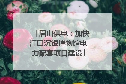 眉山供电：加快江口沉银博物馆电力配套项目建设