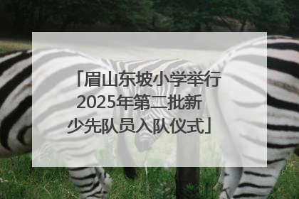 眉山东坡小学举行2025年第二批新少先队员入队仪式