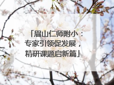 眉山仁师附小：专家引领促发展，精研课题启新篇