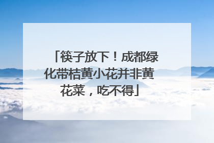 筷子放下！成都绿化带桔黄小花并非黄花菜，吃不得