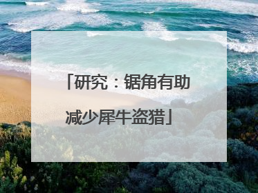 研究：锯角有助减少犀牛盗猎