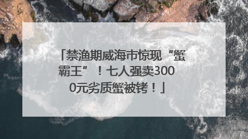 禁渔期威海市惊现“蟹霸王”！七人强卖3000元劣质蟹被铐！