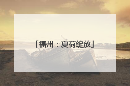 福州：夏荷绽放