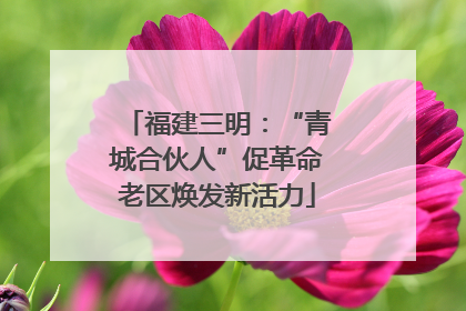 福建三明：“青城合伙人”促革命老区焕发新活力