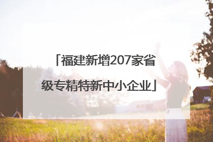 福建新增207家省级专精特新中小企业