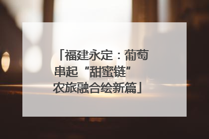 福建永定：葡萄串起“甜蜜链” 农旅融合绘新篇