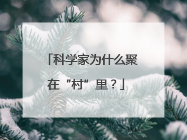 科学家为什么聚在“村”里？