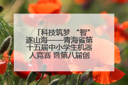 科技筑梦 “智”逐山海——青海省第十五届中小学生机器人竞赛 暨第八届创新设计大赛见闻