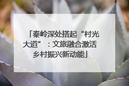 秦岭深处搭起“村光大道”：文旅融合激活乡村振兴新动能