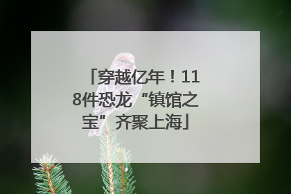 穿越亿年！118件恐龙“镇馆之宝”齐聚上海