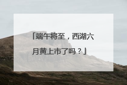 端午将至，西湖六月黄上市了吗？
