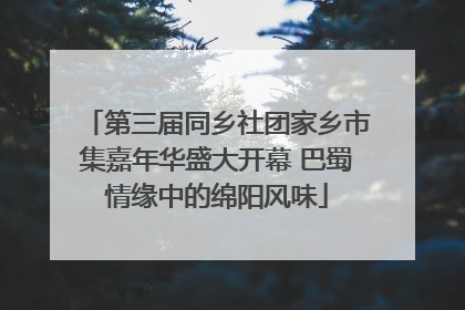 第三届同乡社团家乡市集嘉年华盛大开幕 巴蜀情缘中的绵阳风味