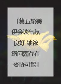 第五轮美伊会谈气氛良好 铀浓缩问题存在妥协可能
