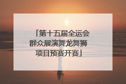 第十五届全运会群众展演舞龙舞狮项目预赛开赛