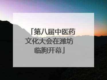 第八届中医药文化大会在潍坊临朐开幕