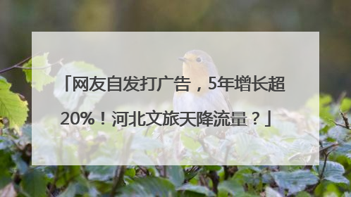网友自发打广告，5年增长超20%！河北文旅天降流量？