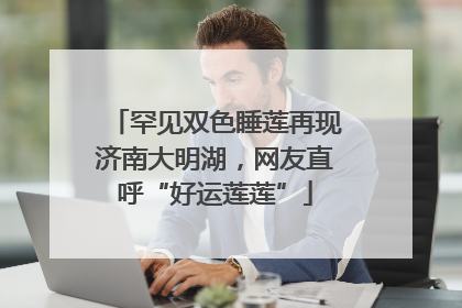 罕见双色睡莲再现济南大明湖，网友直呼“好运莲莲”