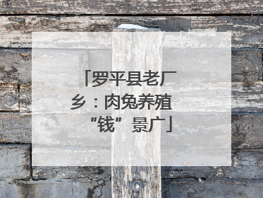 罗平县老厂乡：肉兔养殖“钱”景广