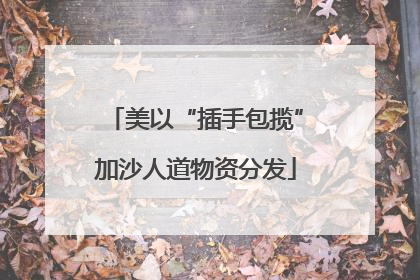 美以“插手包揽”加沙人道物资分发