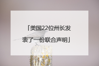 美国22位州长发表了一份联合声明