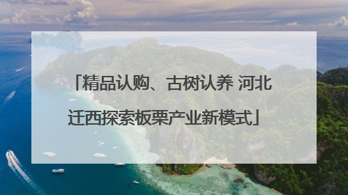 精品认购、古树认养 河北迁西探索板栗产业新模式