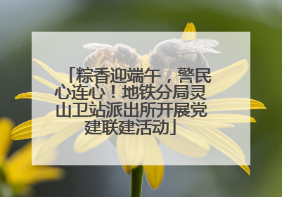 粽香迎端午，警民心连心！地铁分局灵山卫站派出所开展党建联建活动