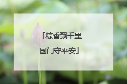 粽香飘千里 国门守平安